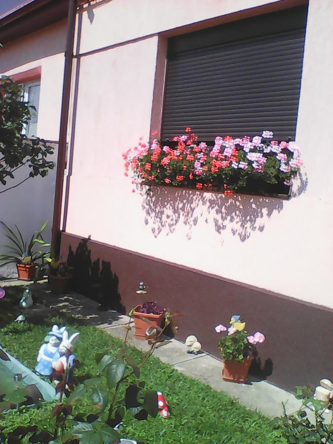 Mary Apartment Sibiu Luaran gambar