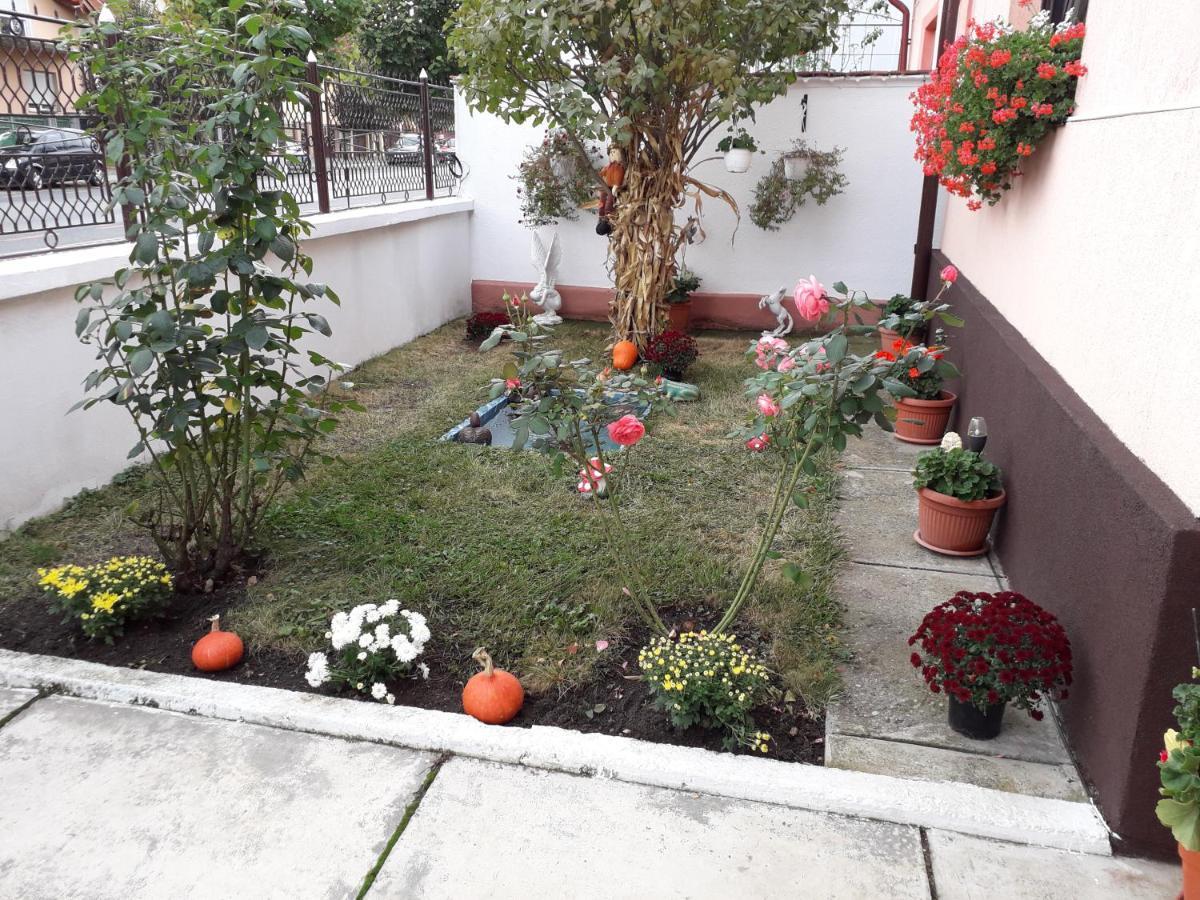 Mary Apartment Sibiu Luaran gambar